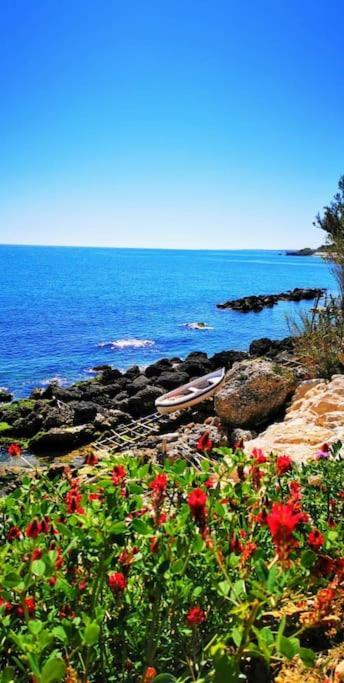 Magnolia Casa Di Campagna Costa Dei Trabocchi Rocca San Giovanni Εξωτερικό φωτογραφία