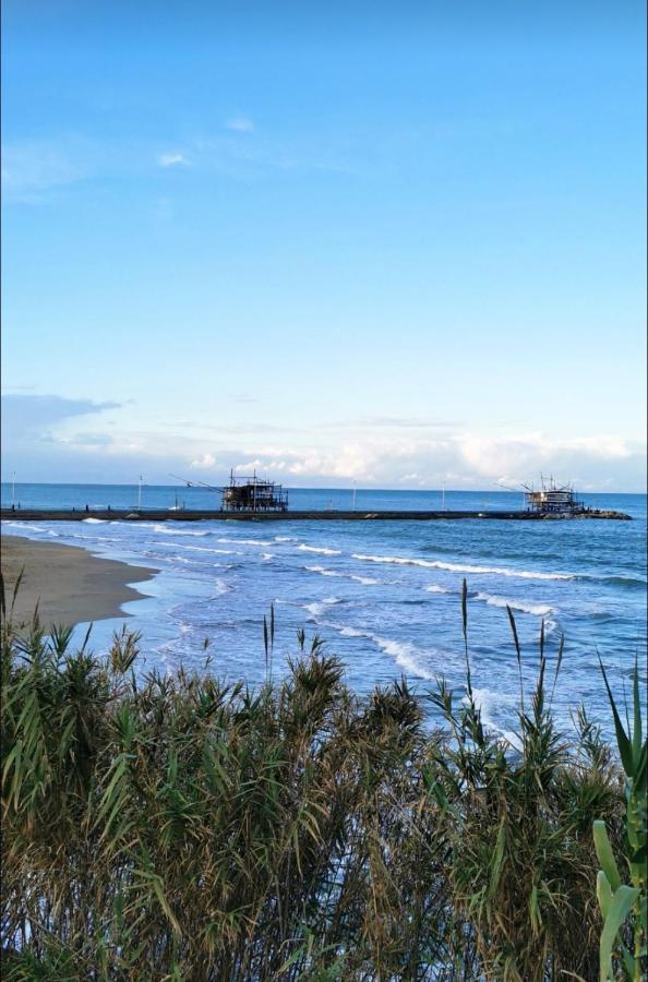 Magnolia Casa Di Campagna Costa Dei Trabocchi Rocca San Giovanni Εξωτερικό φωτογραφία