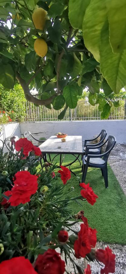Magnolia Casa Di Campagna Costa Dei Trabocchi Rocca San Giovanni Εξωτερικό φωτογραφία