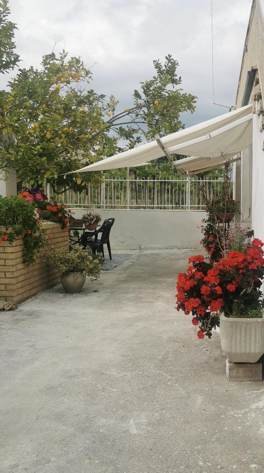Magnolia Casa Di Campagna Costa Dei Trabocchi Rocca San Giovanni Εξωτερικό φωτογραφία